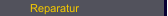 Reparatur